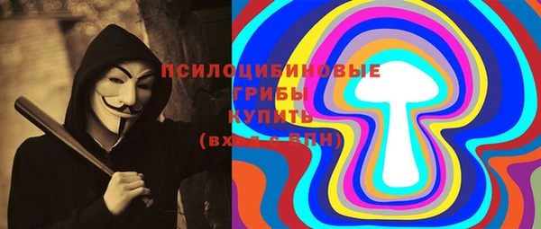 амф Верея