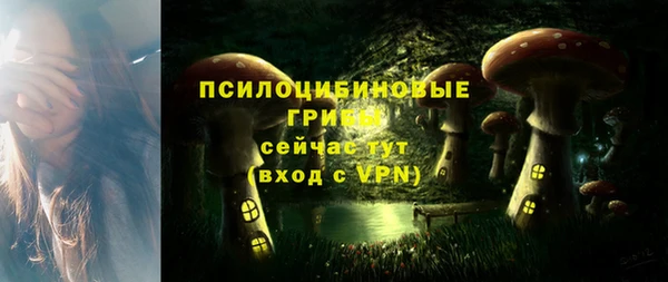 амф Верея