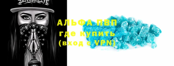 амф Верея