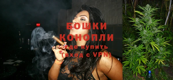 амф Верея