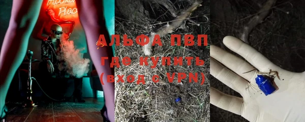 амф Верея