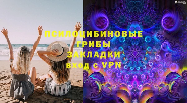 амф Верея